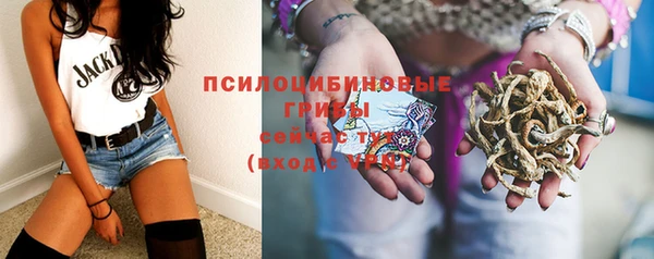 ешки Зеленодольск