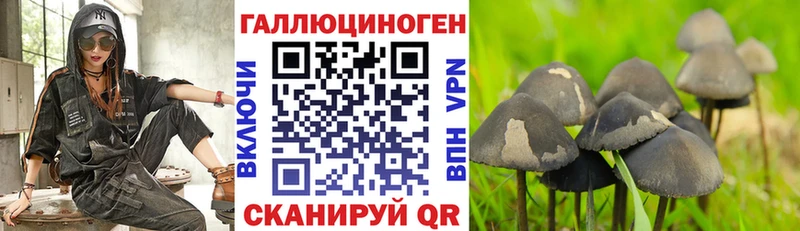 Купить закладки  Чишмы  Псилоцибиновые грибы ЛСД